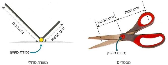 (בספר איור, היעזר במנחה)